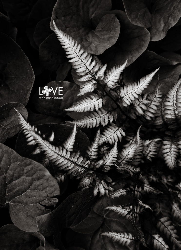 Black and white photograph of painted fern and ginger