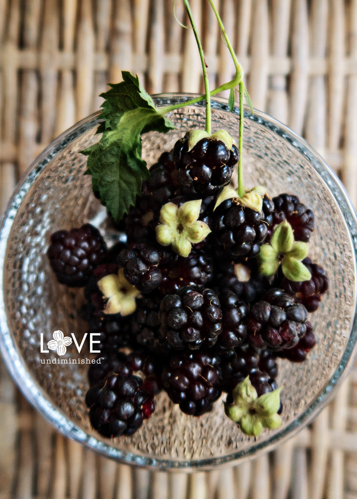 Color photograph of hand-picked fresh, plump blackberries from the garden, in a clear glass bowl on a wicker table.