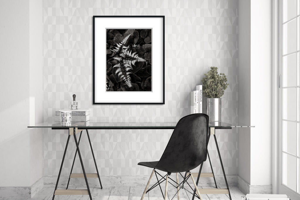 Office decor featuring framed art black and white botanical photograph of a painted fern in a perennial garden with ginger.