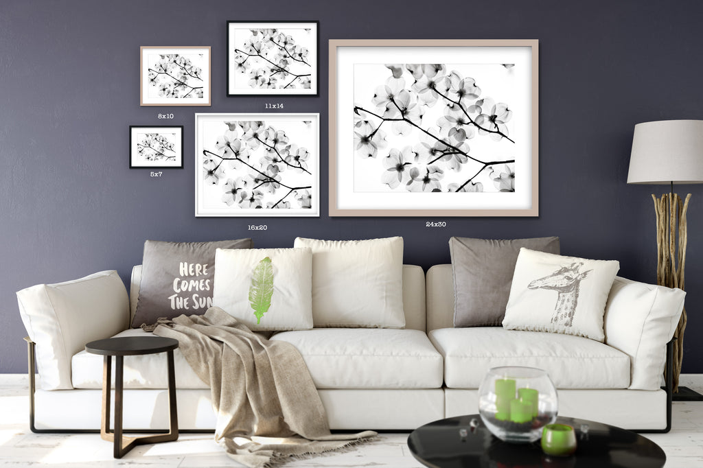 Size comparison of framed photographic wall art shown with furniture and interior decor