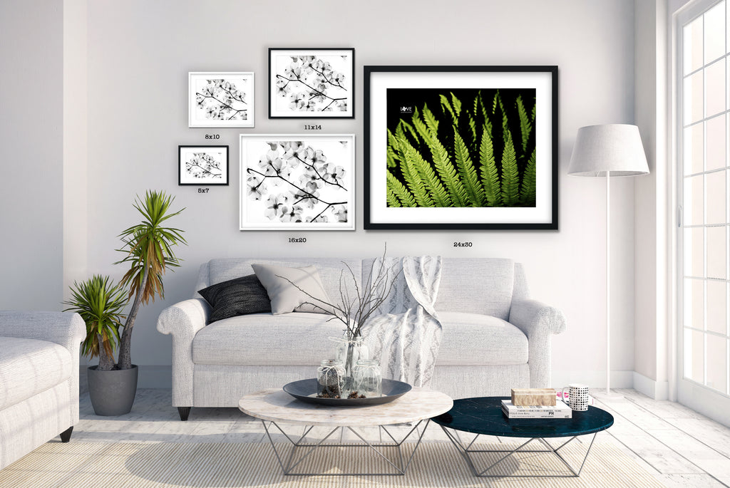 "Companion Ferns" Color Photographic Print