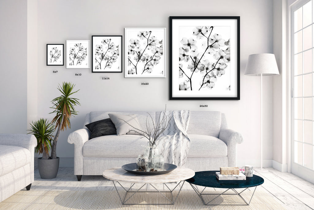 Size comparison of framed photographic wall art shown with furniture and interior decor